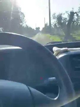 Cam4 Adult Video Chat of Luca075