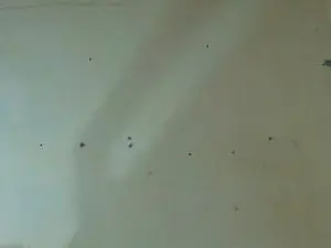 Cam4 Live Sex of lesley26