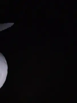 Cam4 Sex Chat of Ezzetrece