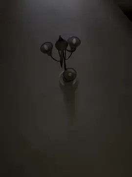 Cam4 Best live sex cam show of belcazzone26