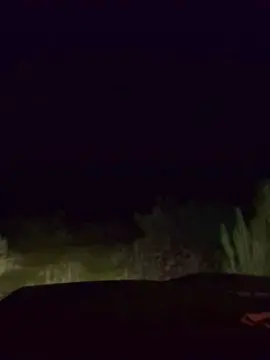 Cam4 Adult Video Chat of Gerontofilia