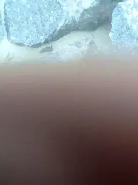 Cam4 Best live sex cam show of kceteduronacam2