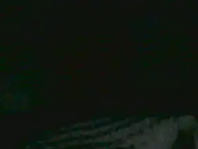 Cam4 Live Sex Cam of bigsperm