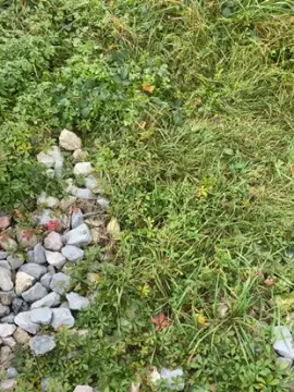 Cam4 Watch Live Sex Cams of Lougarou78