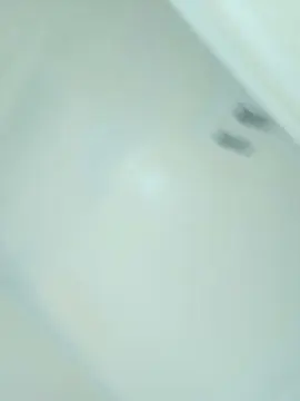 Cam4 Sex Chat of felipeafta