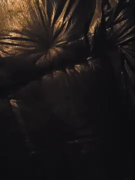 Cam4 Live Sex Cam of Chavbear