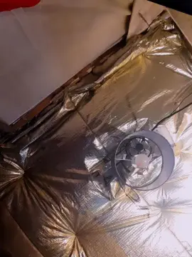 Cam4 Best Webcam of Chavbear