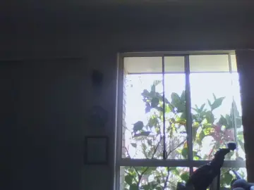 Cam4 Sex Cam of jackoff2131