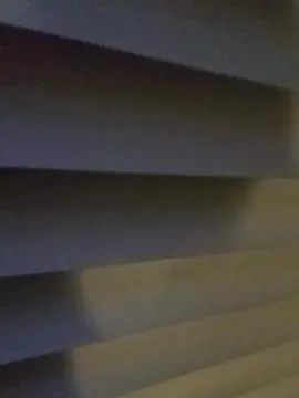 Cam4 Best Webcam of Silkworm_Piper