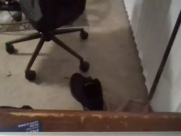 Cam4 Adult Webcam of Silkworm_Piper