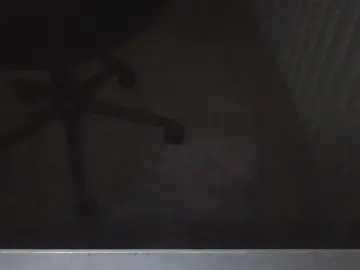 Cam4 Sex Cam of Silkworm_Piper