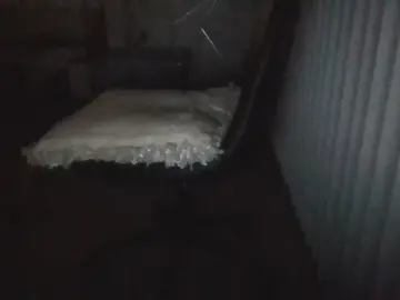 Cam4 Nude Webcam of Silkworm_Piper