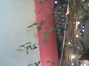 Cam4 Adult Webcams of noviziocurio