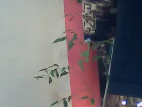 Cam4 Live Porn of noviziocurio