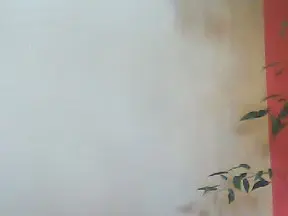 Cam4 Nude Webcam of noviziocurio