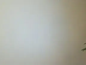 Cam4 Sex Cam of noviziocurio