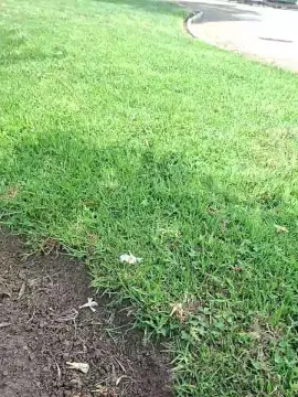 Cam4 Free Live Porn of francisco1862