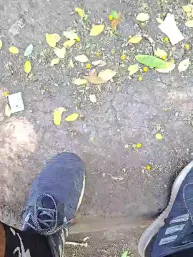 Cam4 Adult Webcams of francisco1862