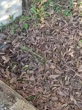 Petitebombe34 from cam4