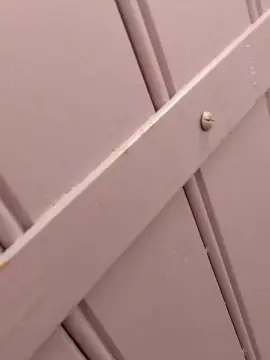 Cam4 Free Live Porn of Petitebombe34