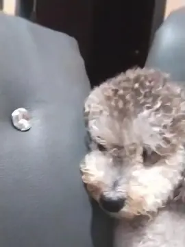 Cam4 Watch Live Sex Cams of maikel203