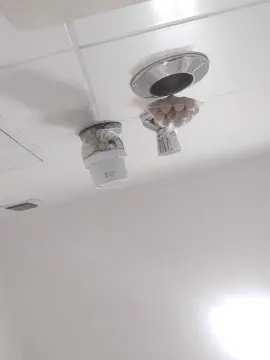 Cam4 Best live sex cam show of tktwo