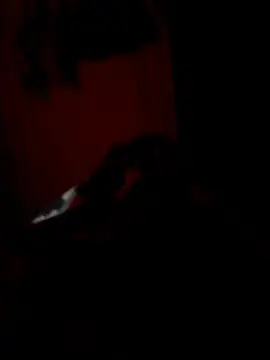 Cam4 Live Sex of Yoel_Leon