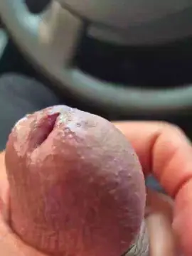 Cam4 Nude Webcam of gabszinco4