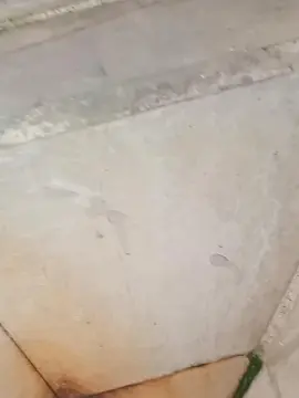 Cam4 Nude Webcam of 73augustofun