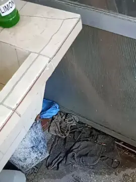 Cam4 Adult Video Chat of 73augustofun