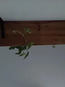 Cam4 Best live sex cam show of azul420_hot4