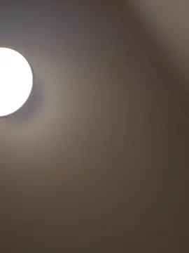 Cam4 Free Live Porn of hectorhot8