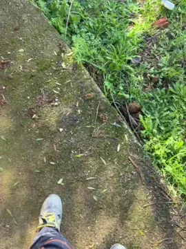 Cam4 Free Live Porn of Svardo