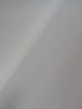 Cam4 Live Sex of juju0388