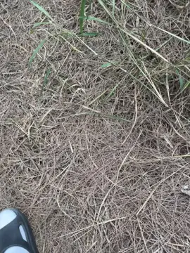 Cam4 Private Sex Chat of suwolanpa