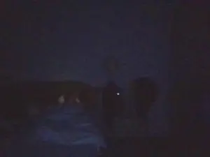 Cam4 Sex Cam of conan20233