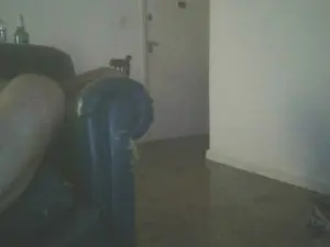 Cam4 Private Sex Chat of juanci_t