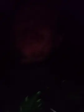 Cam4 Sex Cam of Fsst4