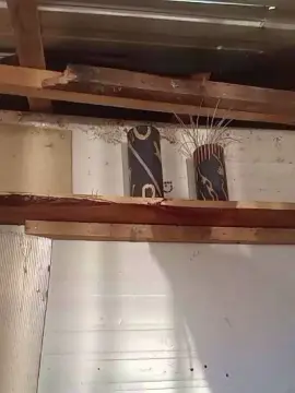 Cam4 Free Live Porn of Fsst4