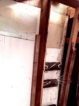 Cam4 Best live sex cam show of Fsst4