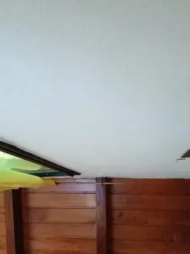 Cam4 Adult Webcam of nikita244