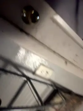 Cam4 Adult Webcams of Dyskiz