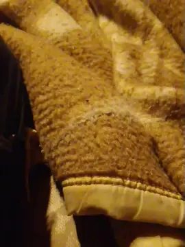 Cam4 Adult Webcam of Dany1597sw