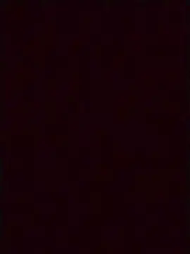 Cam4 Free Live Porn of Camilitaxxxxxxx