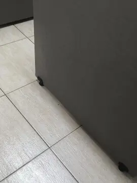 Cam4 Best Webcam of juanjovg