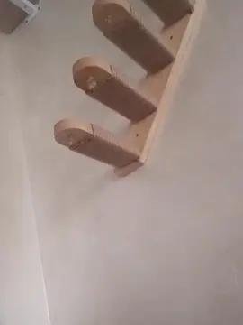 Cam4 Live Porn of maxibon83