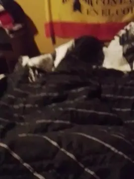 Cam4 Best live sex cam show of igna38