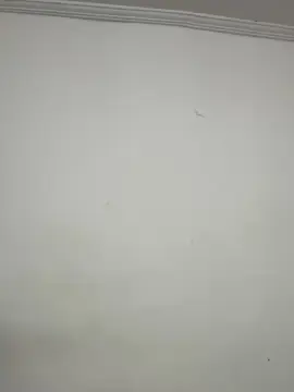 Cam4 Adult Webcam of bb7774