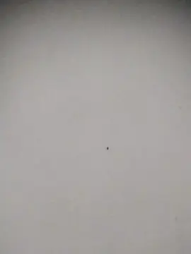 Cam4 Sex Chat of Heterodominador