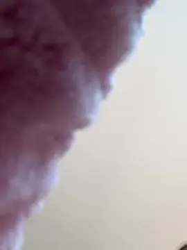 Cam4 Best Webcam of Loresofia